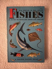 Fishes, A Golden Nature Guide Book, Vintage Pocket Reference 1955 🔥