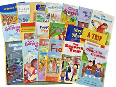 Scott Foresman Reading Street Lot 19 Books Grade 3 Realistic Fiction Readers