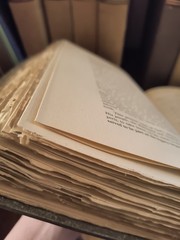 The Ideas That Have Influenced Civilization 1902 – 10 volumes