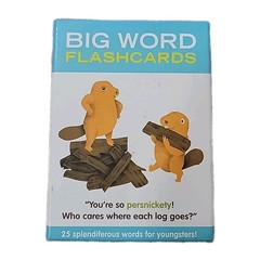 Knock Knock Big Word Flashcards – Office Product By Knock Knock – VERY GOOD