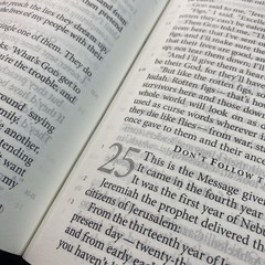 The Message Bible Eugene Peterson Apress Brown Leather Large Print Numbered USA