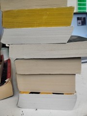Lot If 27 Mystery Paperbacks Acceptable Crichton Braun Child Larsson AJ Finn