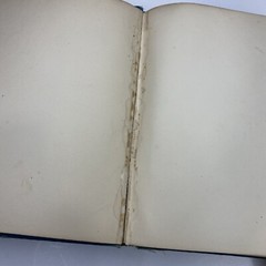 Lothrop’s Annual 1889 1st Ed.-Illus Lithographic Color Plates Children’s Book