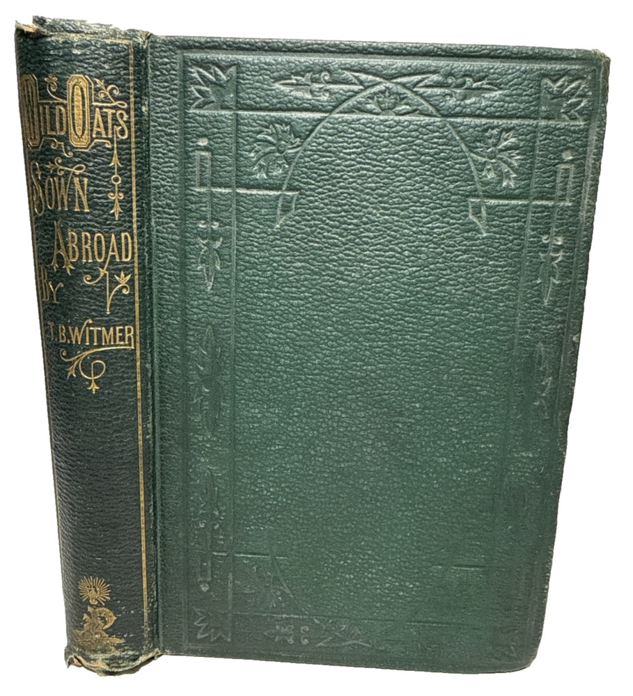 Wild Oats Sown Abroad On Off Soundings Theodore Whitmer 1872 Antique Book