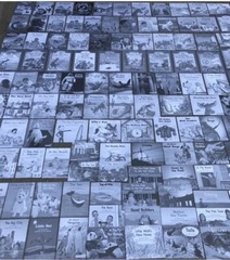 FOUNTAS & PINNELL Blue LLI System Books 1-120 Set Levels C-N Take-Home Readers