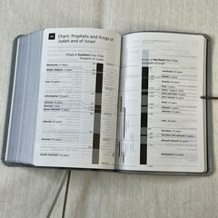 2013 New World Translation Of The Holy Scriptures – Watch Tower Bible Society
