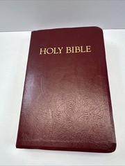 The NRSV Childrens Bible – 2006 – Abingdon Press – Maroon Bonded Leather Cover