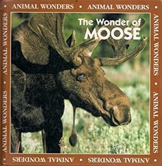 The Wonder of Moose Library Binding Rita, Fair, Jeff Ritchie