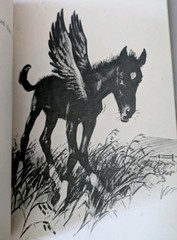 Flip by Wesley Dennis-A Rare Scholastic Book About a Sweet Curious Colt
