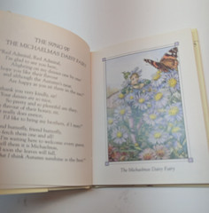 LOT OF 2 Flower Fairies of the Autumn & Spring by Cicely Mary Barker Paperback