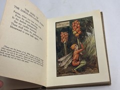 1927 Flower Fairies of the Autumn Cicely Mary Barker 1st American Ed Macmillan