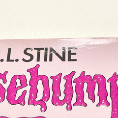Goosebumps Welcome To Dead House Unnumbered 1st Edition/2nd Print – R.L Stine