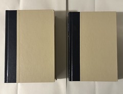 Charles Dickens 2 Book Lot Copperfield / Great Expectations HC VNTG Doubleday
