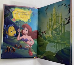 Disney Princess The Little Mermaid Ariel Disney Wonderful World of Reading