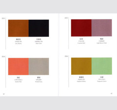 A Dictionary of Color Combinations Vol 1 2 Set Sanzo Wada Japanese Book Art