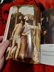 HOPE OF THE NATION Family Life Edition 1960s Padded Christian Bible Murray, KY