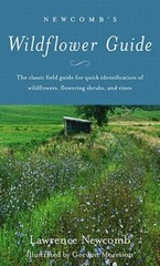 Newcomb’s Wildflower Guide by Lawrence Newcomb: New