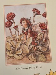 Flower Fairies Photo Album Cicely Mary Barker The Seasons Hardback Book