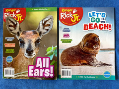 Lot Of 33 National Geographic Kids, Ranger Rick, RR Jr Magazines 2019-2025