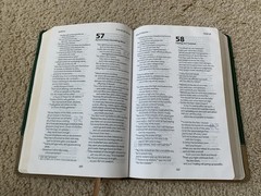 TLV Thinline Bible Holy Scripture – Green & Tan Duravella Imitation Leather