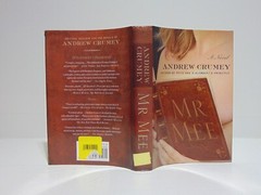 Mr. Mee by Andrew Crumey (2001, Hardcover) 1st Picador USA Edition
