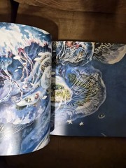 The Pen Manabu Ikeda Japanese Art Book 2017 Technical Pen Painting Japan
