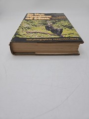 In The Shadow of Man 1971 Jane Van Lawick-Goodall HC DJ Book Club Edition