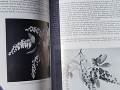 NATIVE PLANTS FOR CALIFORNIA GARDENS ~ 1956 ~ LEE W. LENZ ~ SIGNED! ~ AS FOUND!!