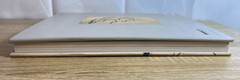 Latiff Mohidin Journey to Wetlands & Beyond Hardcover Singapore Art Museum 2009
