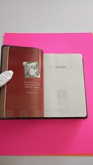 NIV Holy Bible Tyndale House Compact Brown Pink Floral OOP Imitation Leather