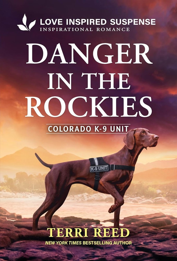 Danger in the Rockies (Original) Mass Market Paperbound by Terri Reed