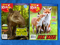 Lot Of 33 National Geographic Kids, Ranger Rick, RR Jr Magazines 2019-2025