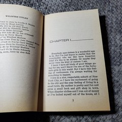Yours Truly, Love, Janie Ann Reit 1981 Wildfire Scholastic Romance Book