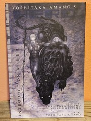Yoshitaka Amano’s HERO Vol. 1 Hardcover, BOOM! Studios 2006