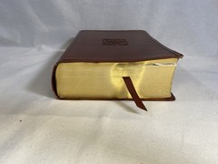 ESV Study Bible 2016 TruTone, Walnut, Celtic Imprint Design