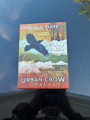 Urban Crow Oracle: A 54-Card Deck and Guidebook by Cullinane, Mj unused