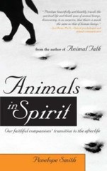 Animals in Spirit: Our Faithful Companions’ Transition to the Afterlife