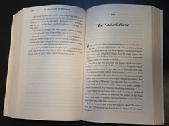 Warden and the Wolf King by Andrew Peterson (2015, Trade Paperback) (Read Ship)