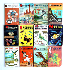 LOT (12) Vintage Golden Guide Golden Press Drop Cap Cover READ ??Indian Arts