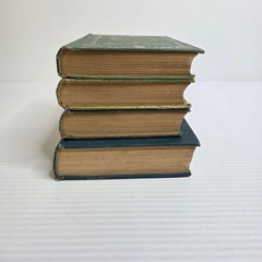 Mildred Lot of 4 Books Martha Finley 1880s Children’s VTG Fiction SEE CONDITION