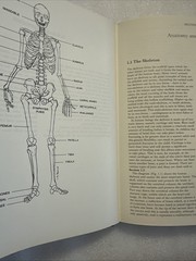 Dance Technique and Injury Prevention by Shirley Hancock and Justin Howse (2000,