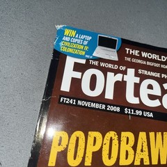 Fortean Times Magazine #241 November 2008 FREE SHIPPING ForteanTimes