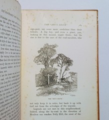 1904 The Newmarket Bury Thetford and Cromer Road, 1st Ed., Illust., Travelogue