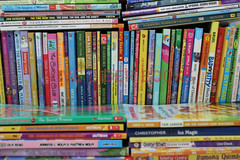 Lot of 25 of Children’s Kids Chapter Books – Random – Free Shipping!