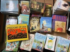 YOU PICK Class Set Lot of 10 Childrens Chapter Guided Reading Book SEE DESCRPTON
