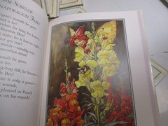 Flower Fairies Library by Cicely Mary Barker 8 Hardcover Books in Slipcase