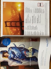 Time Magazine 2020 The Worst Year Ever Red Cross X Grave New World NO LABEL