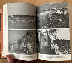 Delia Owens In Africa A Life In The Wild: By Mark Owens & Delia Owens 2019 B&N