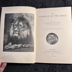 1901 The Animals Of The Bible Gambier Bolton Illustrated Natural History Book