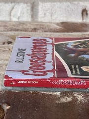 Goosebumps Say Cheese And Die UNNUMBERED 1st Edition 1st Print RARE Scholastic